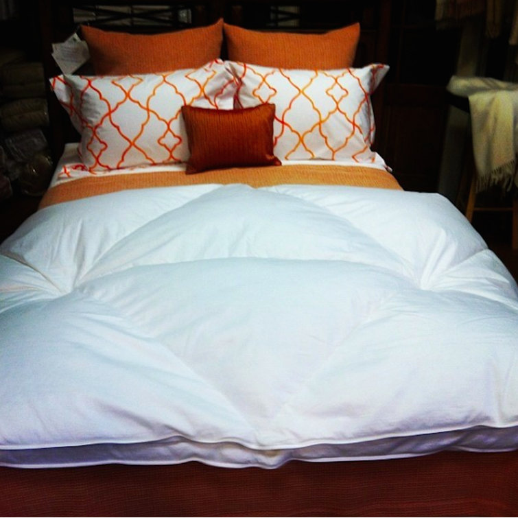 Down to Basics Goose Down Comforter Wayfair